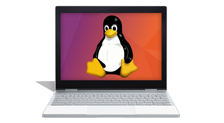 El fondo de pantalla del pingüino de Linux en un Chromebook